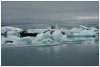 6/islande skatfatell iceberg 36 (Small).jpg